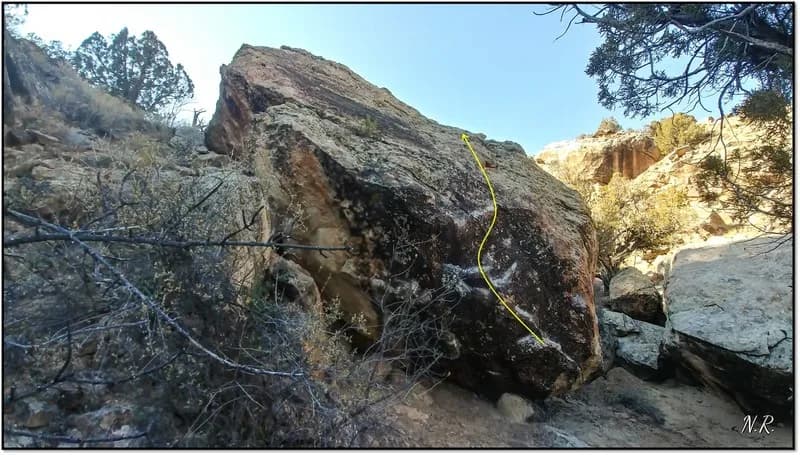 Mesa County Cult main view
