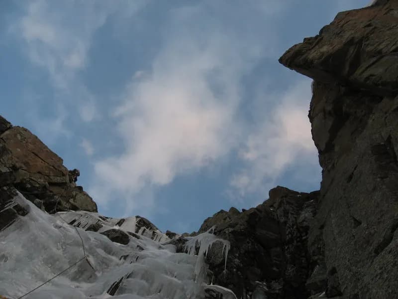 Unknown Scrappy Gully