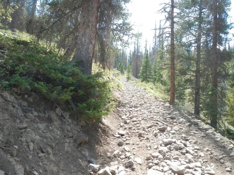 Forest Road No. 578