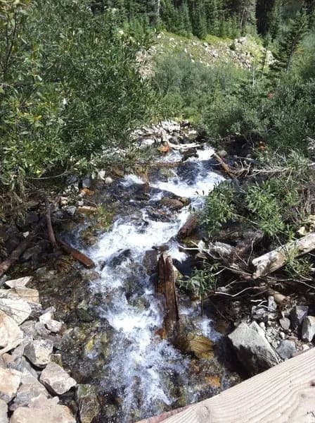 Montezuma Basin #102