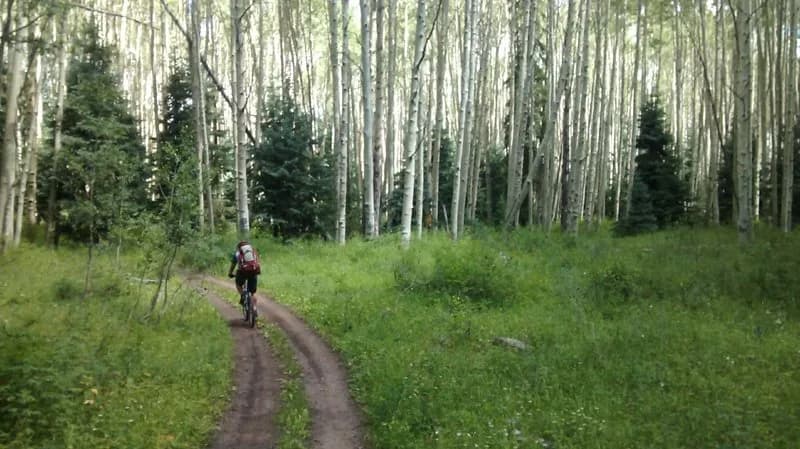 Spring Creek Spur B #116.1B
