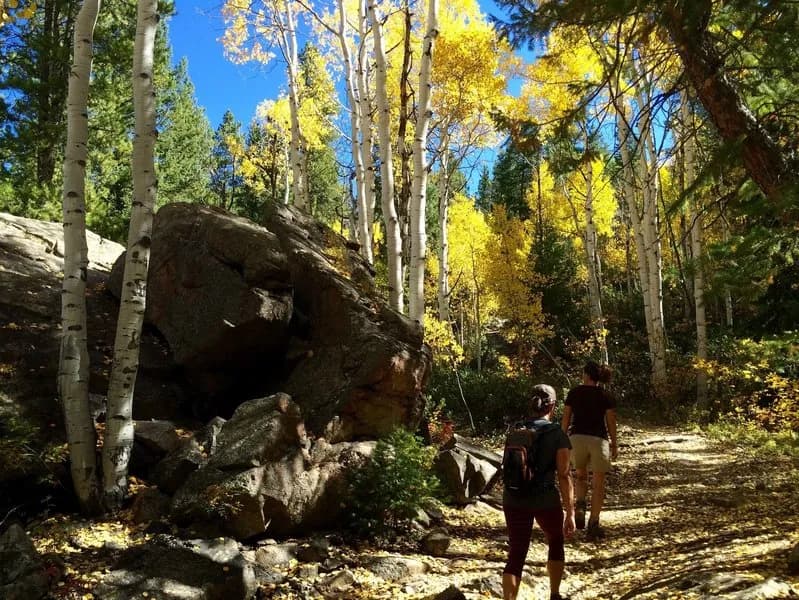 Difficult Creek Trail