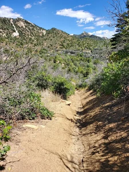 Unpleasant Deep Deep Trough At The End Of The Telegraph Trail
