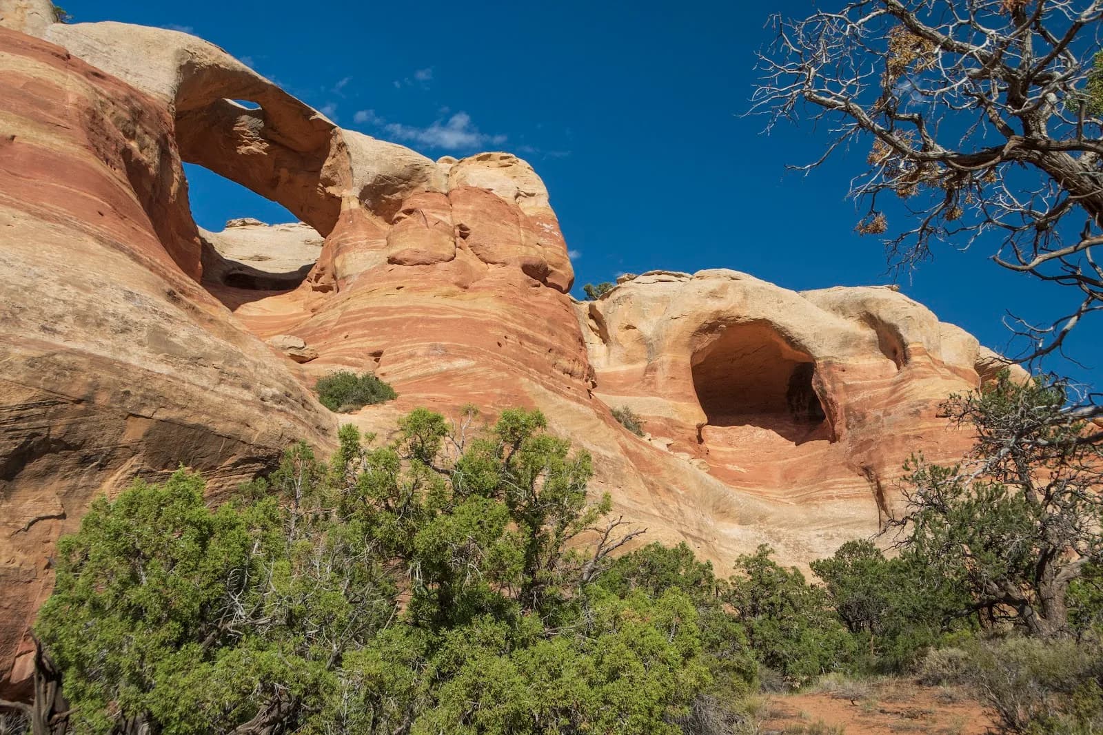 McInnis Canyons National Conservation Area