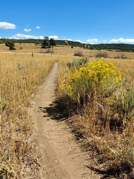 Looking East Along The Fenceline On Pop Top