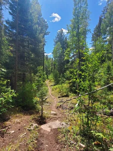 Red Creek Trail #726