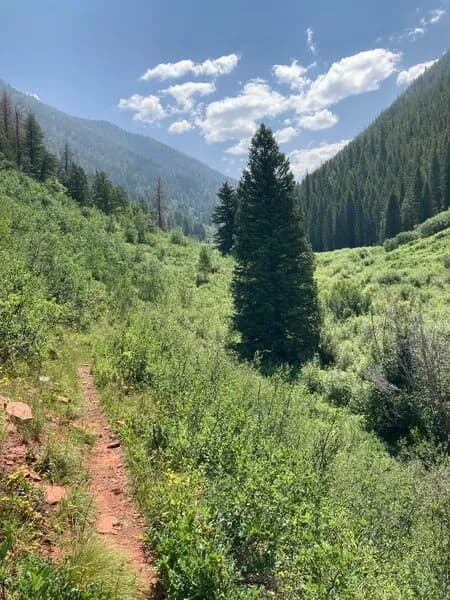 Rocky Fork Trail #1931