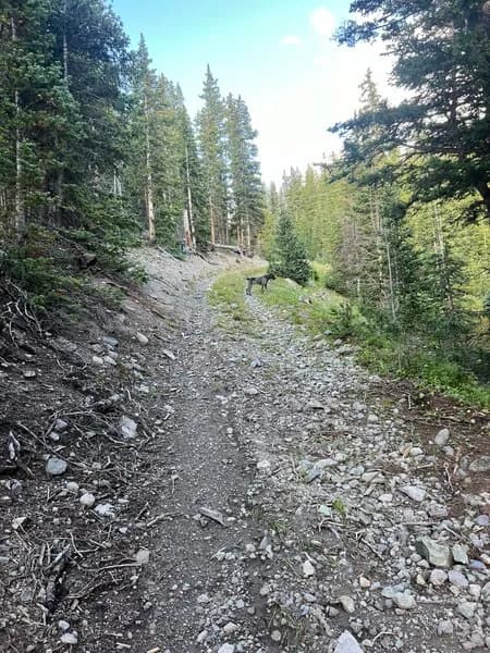 Boomerang Alta Lakes Connector
