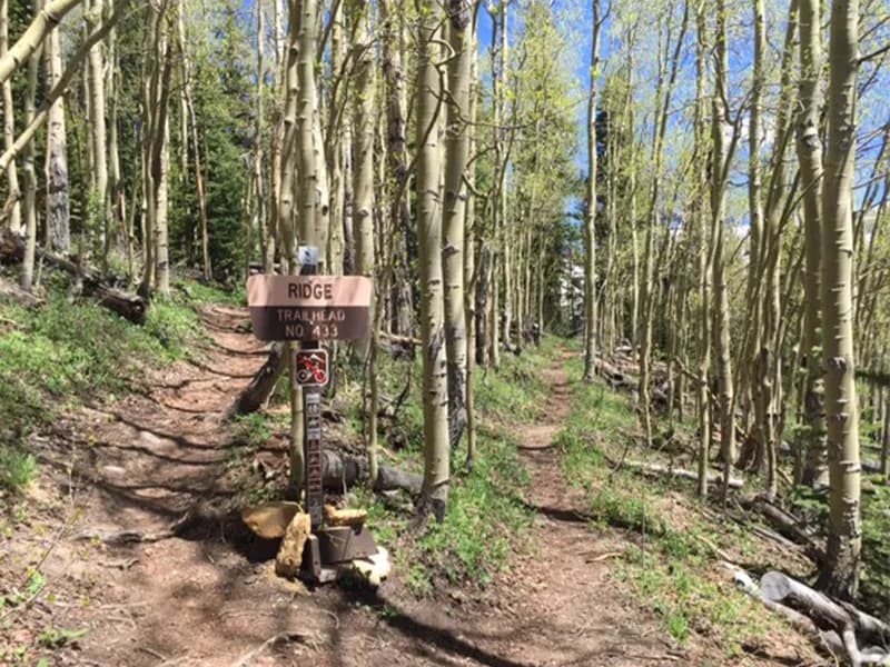 Telluride Trail