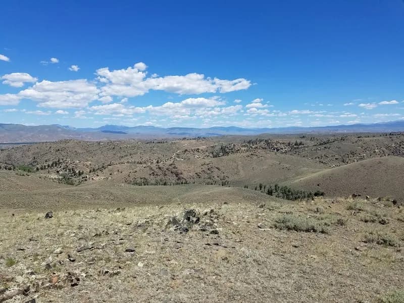 Aberdeen Loop
