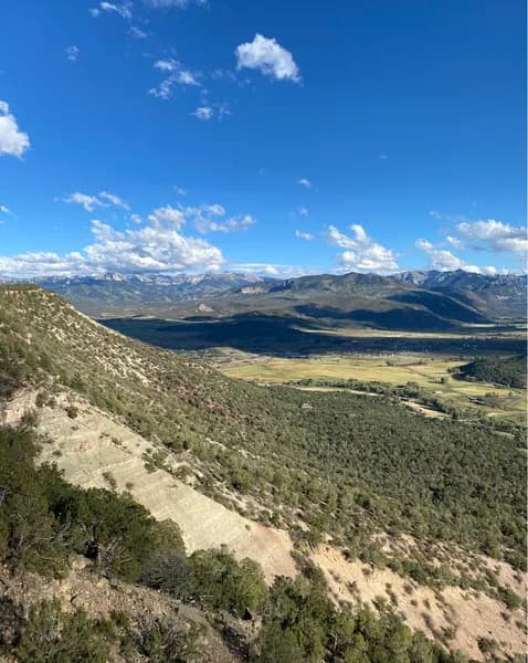 Escarpment Trail