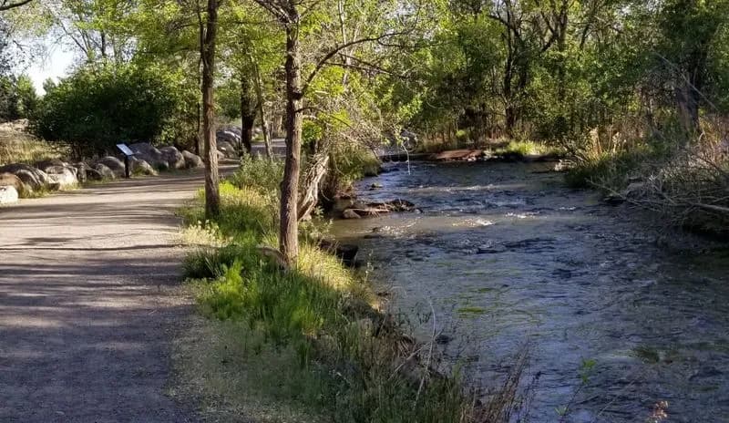 Surface Creek Trail