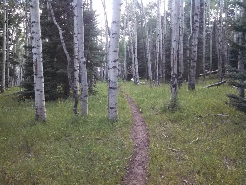 Clear Creek Loop