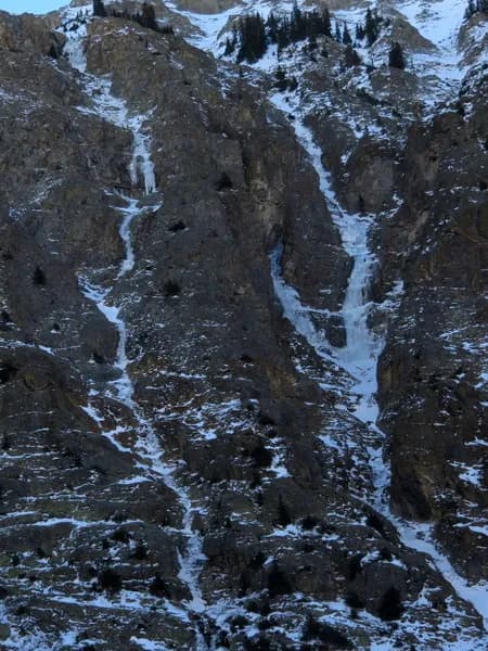 Unknown Scrappy Gully