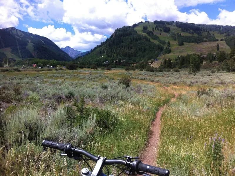 Moore Open Space trail