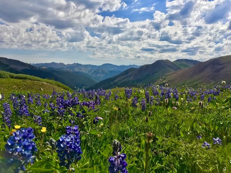Trail 583 (Crystal Peak)