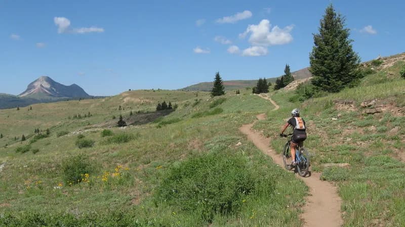 Bear Creek Shuttle