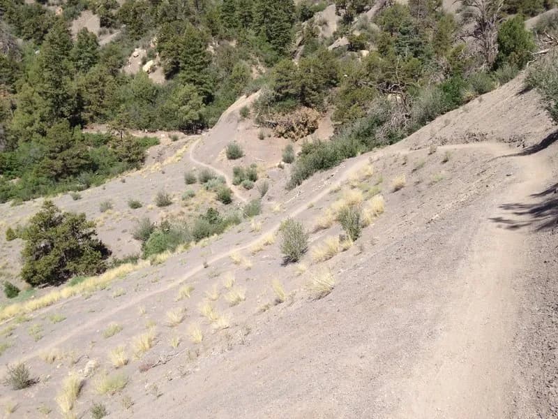 An Open Section Of Trail On Hogsfoot