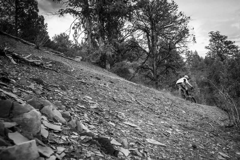 Test Tracks Loop