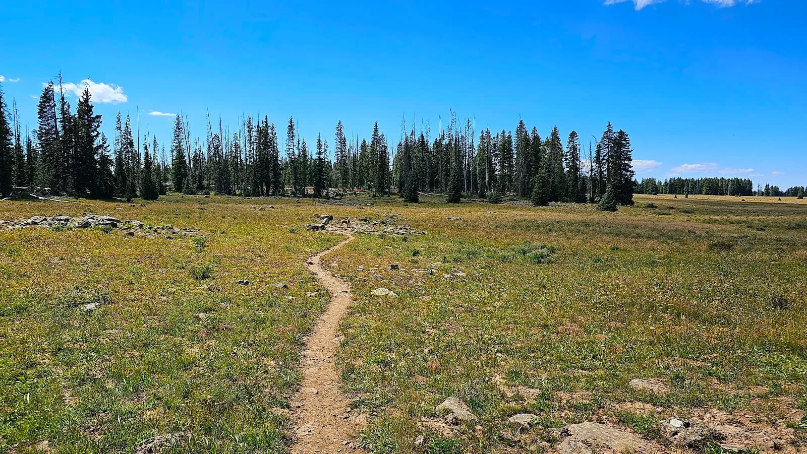 Mesa Top Trailhead