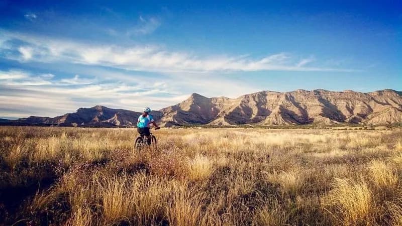 Chutes & Ladders Loop