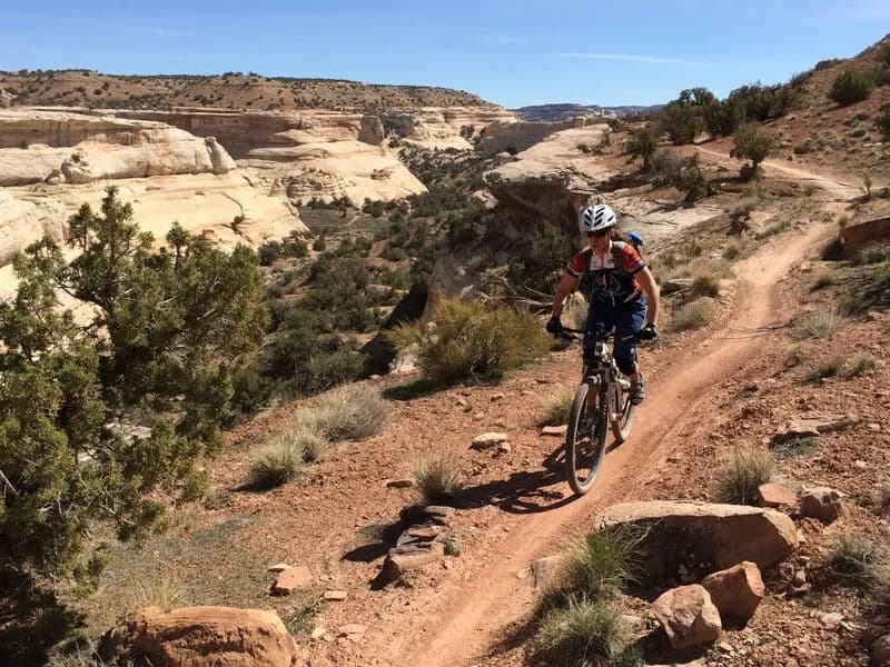 Desert RATS Classic 100k MTB