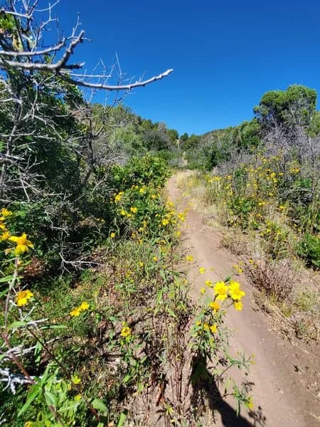 Grandview Ridge Road