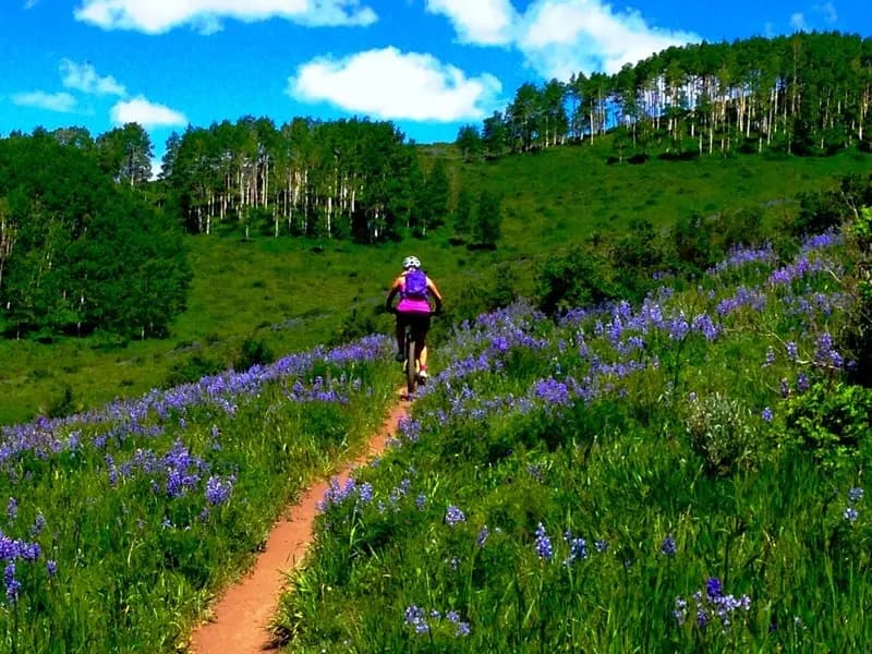 Lupine Trail