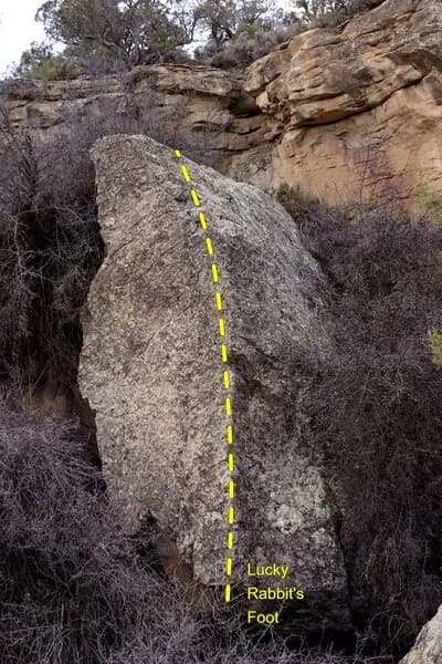 Lucky Rabbit's Foot