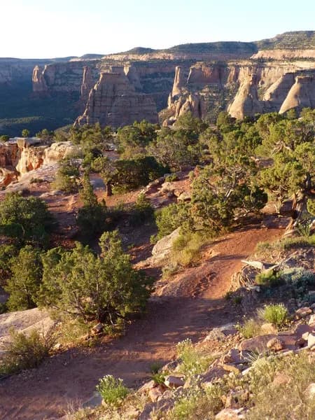 Canyon Rim Trail