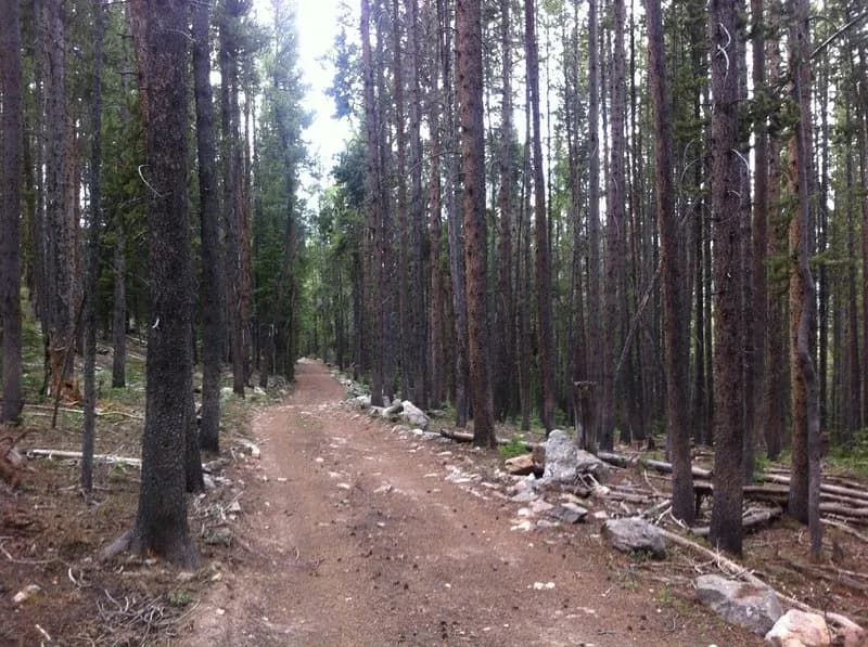 FS Rd. 131