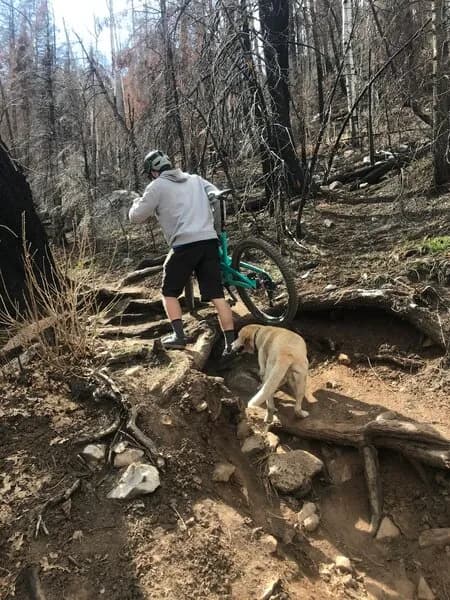 Goulding Creek to Jones Creek