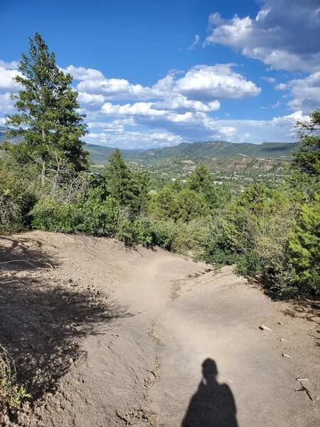 Ned's Hill Trail