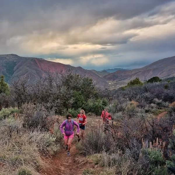A Chilly Evening Run Up To The Top Of The Boy Scout Trail Photo By Ann Driggers
