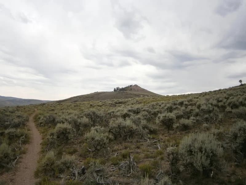 Signal Peak Intermediate Loop main view