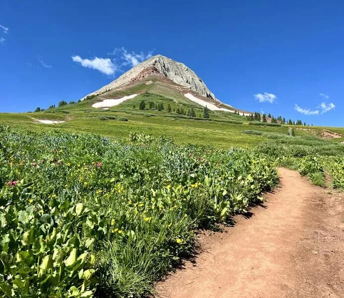Looking Up At Engineer Mountain From The Pass Creek Trail
