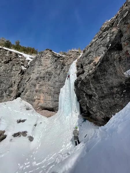 Upper Royer Left
