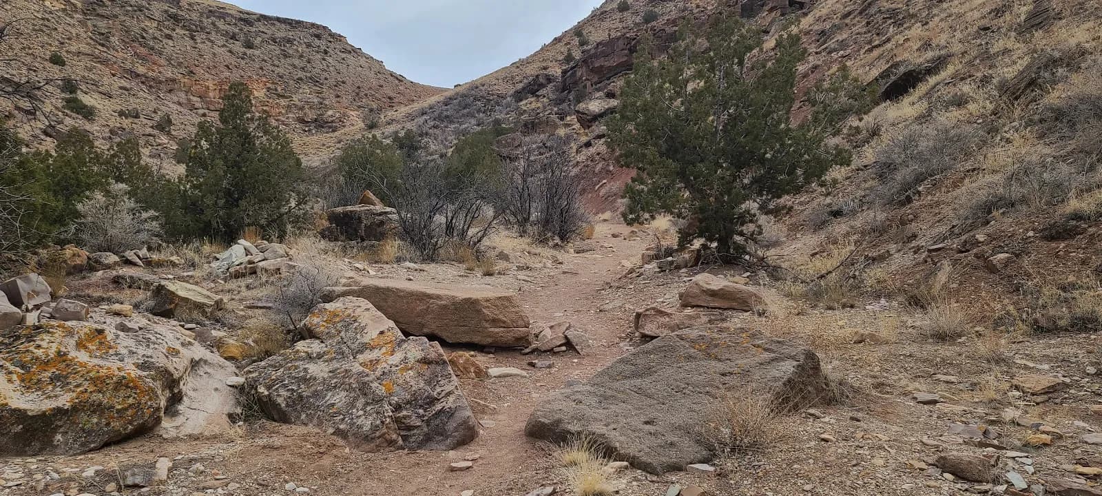 Cool Rock Canyon Trail