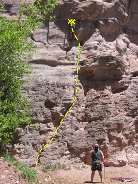 Dangling Participle
