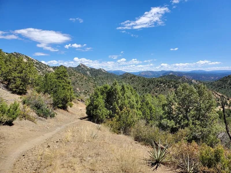 Telegraph Trail