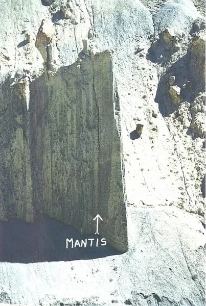 Mantis