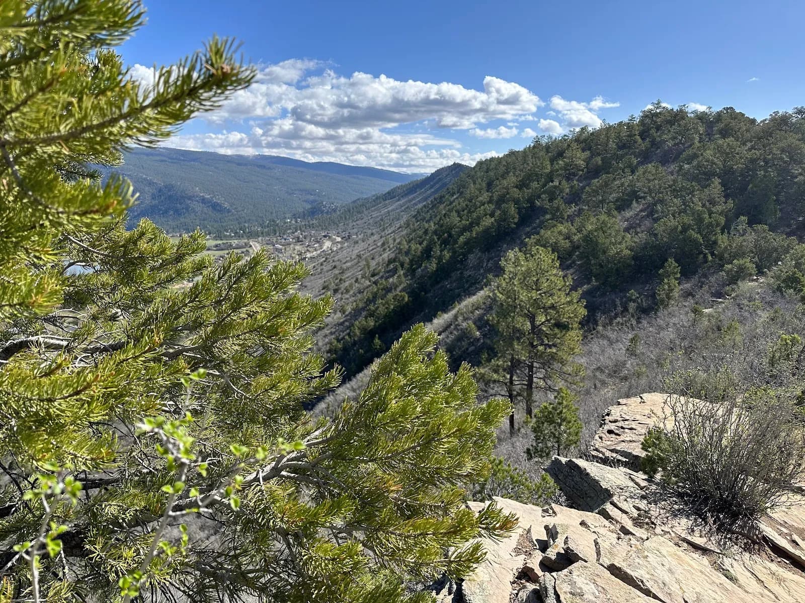 Horse Gulch Trail Head
