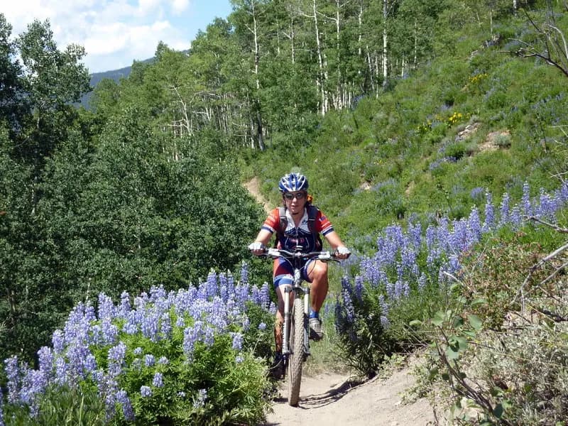 Snodgrass Mountain Road