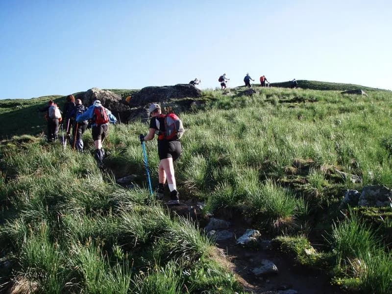 Ascending Trail 421