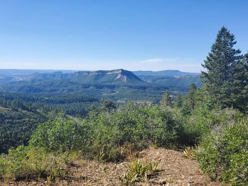 Westview Loop