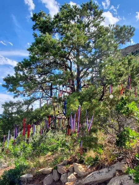 Rooster Trail
