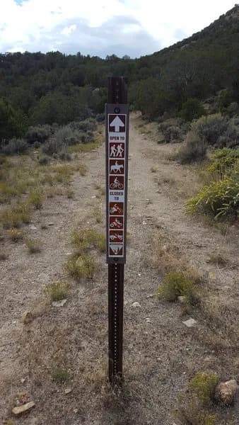 Spring Canyon Road