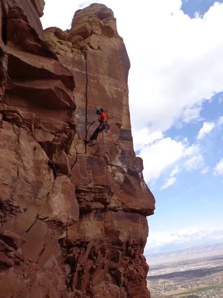 Baby Gypsy-South face