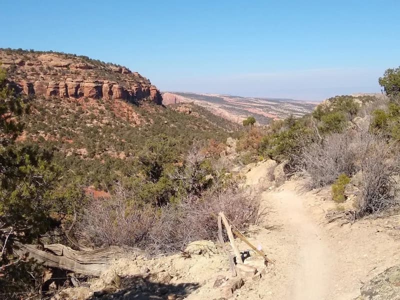 Windmill Trail