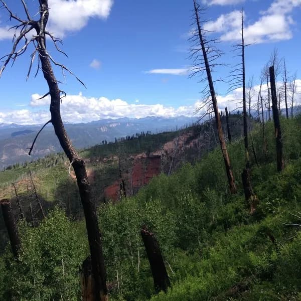 Missionary Ridge Trail to Shearer Creek Trail